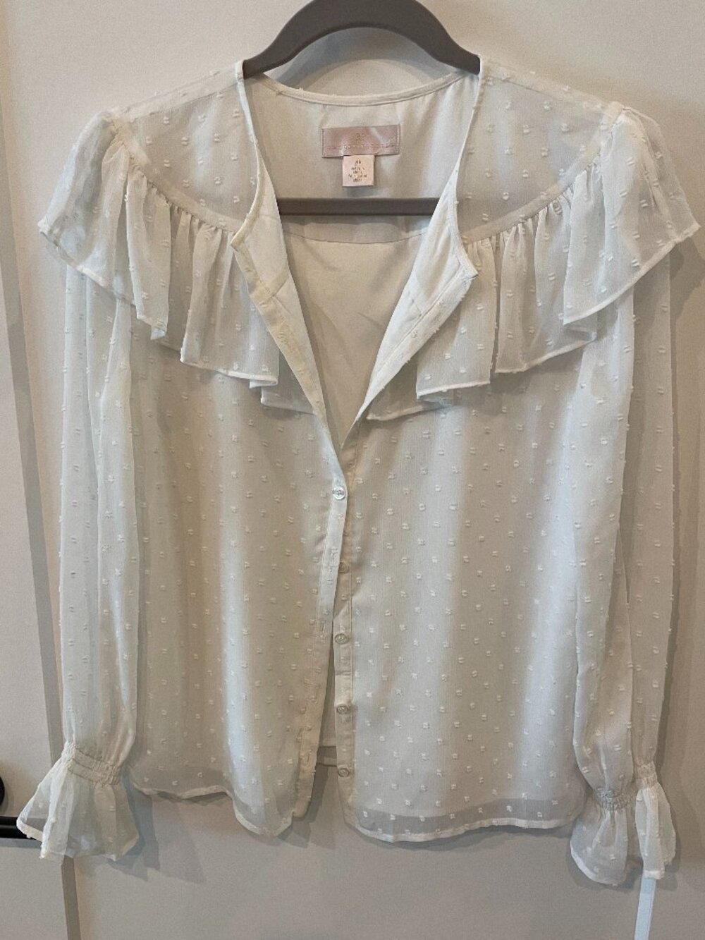Rachel Parcell White Ruffle Blouse XS Sheer Swiss Dot